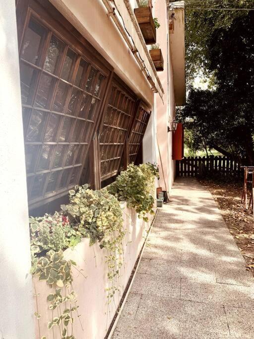 Апартаменты Raffinatezza Rustica Nella Campagna Veneziana Canton  Экстерьер фото